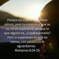 Romanos 8 31 39 Biblia Catolica Bedliner