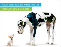 Polish post) is the state postal administration of poland, initially founded in 1558. Poczta Najlepsza Poczta Najwieksze Zalaczniki Wp Animals Cow
