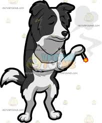 Black And White Collie Dog Clipart Pin On Vector Illustrations