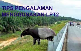 May 17, 2017 by editorfs. Tips Menggunakan Lebuhraya Pantai Timur 2 Lpt2 Some Bullet For Your Head