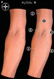 These can be helpful in situations where you can't use the tourniquet and hand pumping technique. Where Are The Different Places An Iv Can Be Placed And Why Are These Different Locations Used Quora