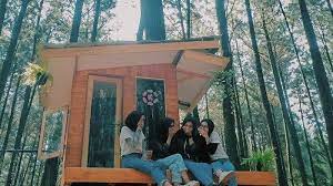 Pengunjung bisa berinteraksi langsung dengan berbagai jenis satwa yang hidup di habitat aslinya samba menikmati sejuknya hawa pegunungan. 7 Tempat Wisata Murah Di Bogor Untuk Liburan Akhir Pekan Tribun Travel