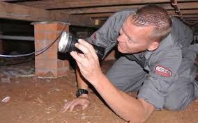 Building and pest inspections, pre purchase inspections, building inspections, pool fence inspections, termite bribie island, beachmere, caboolture, burpengary, morayfield, narangba, dakabin, kallangur, murrumba downs, griffin, taigum, fitzgibbon, north lakes, deception bay. Pest Control Deception Bay Pest Ex