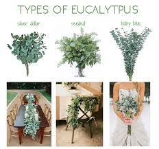 Check Out These Ideas To Include Eucalyptus In Your Wedding Greenery Wedding Wedding Flowers Wedding