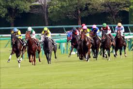 Jun 16, 2021 · エプソムc・g3（6月13日、東京・芝1800メートル）で5着のアトミックフォース（牡5歳、美浦・武藤善則厩舎、父ワークフォース）は、次走に関屋記念・g3（8月15日、新潟・芝1600メートル）を視 Jraé–¢å±‹è¨˜å¿µ G3 æž é †ç™ºè¡¨ã§ æ³¢ä¹±ã®ä½¿è€… ãŒæ€¥æµ®ä¸Š çµ¶å¥½æž  ã¯å…„å¦¹ã‚†ã‹ã‚Šã®æž ç•ª 10ä¸‡é¦¬åˆ¸å¿…è‡³ã®ç©´é¦¬ã«è¦æ³¨æ„ Gj