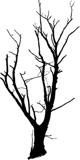 Ribuan gambar baru setiap hari sepenuhnya gratis untuk digunakan video dan gambar berkualitas tinggi dari pexels. Svg Black And White Branches Free Svg Image Icon Svg Silh