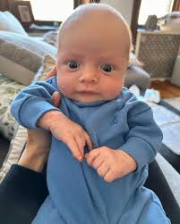 Gillian Johnson Wellness (@gillianjohnsonwellness) • Instagram photos and  videos