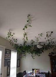 48 Ideas For Plants Hanging From Ceiling House Fake Plants Decor House Plants Indoor Fake Hanging Plants