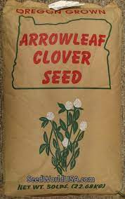 Yuchi Arrowleaf Clover Seed Clover Seed Food Plots For Deer Clover Plant
