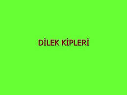 Dilek Kipleri Gelecek Zaman Karadag Haber