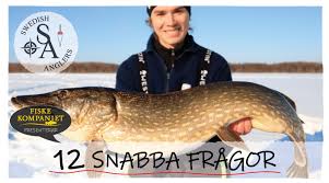 I nationalnyckeln till sveriges flora och fauna (2012) urskiljs bara en inhemsk art, röding ( s. 12 Snabba Fragor Till Markus Teilus Swedish Anglers