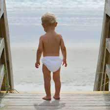 4.6 out of 5 stars. Everyday Wholesome Diy No Sew Cloth Best Baby Swim Diapers