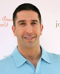 David Schwimmer editorial stock photo. Image of annual