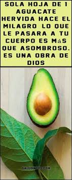 Pin On Sanacion