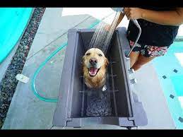 Puppy Loves His New Custom Dog Bath Super Cooper Sunday 157 Youtube Dog Bath Custom Dog Puppy Love