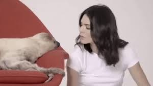 Sloth Gifs Primo Gif Latest Animated Gifs sloth gifs primo gif latest