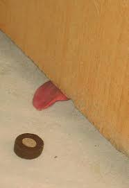 So Close You Can Almost Taste It Funny Animals Funny Cute Funny