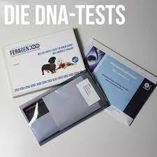 Auch der beste freund des menschen lebt nicht nur von luft und liebe, und so muss man sich genau überlegen, welche kosten. Hunde Dna Test Stabchen Rein Sicher Sein Urban Dog