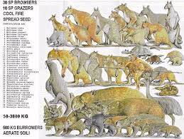 Curiosities4 Prehistoric Creatures Prehistoric Animals Prehistoric