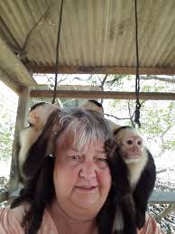 Daniel Johnson's Monkey and Sloth Hangout