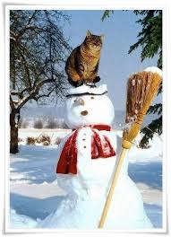 Le Chat Et Le Bonhomme De Neige Animaux Les Plus Mignons Chat Fou Chats Et Chatons