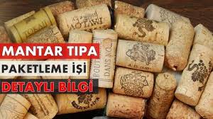 Mantar Tipa Paketleme Isi Ek Is Arayanlarin Yeni Tercihi Mantar Tipa Mantar Paketleme