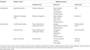 Camels is an exercise for the b2 first use of english set at an upper intermediate level of english. Frontiers The First Protocol For Assessing Welfare Of Camels Veterinary Science