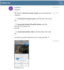 как добавить несколько фото в историю инстаграм из галереи Kak Skachat Storis Iz Instagrama Top 24 Sposoba Blog Instaplus Me