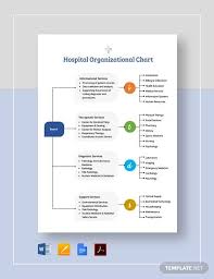 Sample Hospital Organizational Chart 9 Documents In Pdf