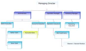 Organization Chart Mesracleenz Cleaning Services Sdn Bhd