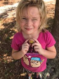 What is this insect found in Palm Bay, Florida?