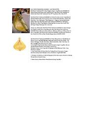 Fungsi cungkilan kulit bambu tersebut sebagai dawai. Alat Musik Ntt