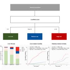 Image result for Fibrosis Probability Score