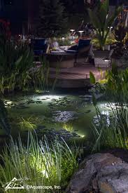 Pretty Backyard Lighting Ideas For Your Pond Waterfall Or Fountain Aquascape Inc