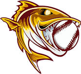 Post 29 Walleye vs Belfield