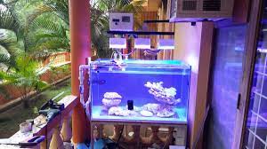 Bulk reef supply carries jbj arctica chillers, which are easily the quietest chillers on the market. Diy Chiller Ideas Reef2reef Saltwater And Reef Aquarium Forum