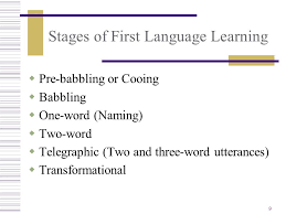 Stages Of First Language L1 Acquisition Ppt Video Online