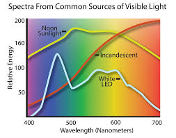 Do Led Lights Attract Bugs 1000bulbs Com Blog