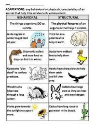 Animal Adaptation Kids Game Google Search Secondary Science Lessons Animal Adaptations Adaptations