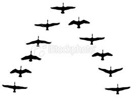Black And White Goose Silhouette Vector Illustration Of Canada Geese Silhouettes In Vee Formation Goose Tattoo Flying Bird Silhouette Geese Photography