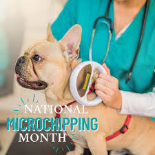 Colette Holbrook's Instagram, Twitter & Facebook