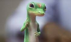 Geico Employees Up Productivity On Plant Based Diet Geico Lizard Cartoon Geico