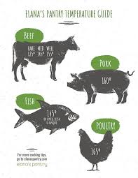 45 inquisitive chart of meat temperatures