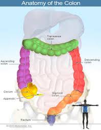 In blood cancer, the development of blood cells gets disturbed by unrestrained growth of abnormal blood cells. Rectal Bleeding Bright Red Maroon Causes Treatment