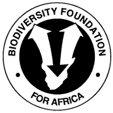 Image result for Megalochlamys hamata