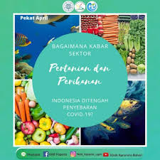 Oleh karena itu bayam banyak dibu. Bagaimana Kabar Sektor Pertanian Dan Perikanan Indonesia Di Tengah Penyebaran Covid 19 Kab Faperta Ugm Ac Id