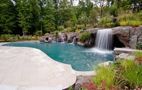 Pool Landscaping Ideas Pictures Strangetowne Pool Landscaping Ideas For Small Area