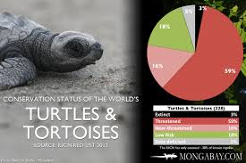 Chart The Worlds Most Endangered Turtles And Tortoises