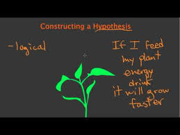 Constructing A Hypothesis Youtube Hypothesis Academic Writing Science Resources