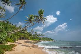 Sri lanka ist eines der beliebtesten ziele für einen strandurlaub in asien. Route Und Tipps Fur 14 Tage Rundreise Sri Lanka Teil 2 Strand Und Sonne Life Is A World Trip
